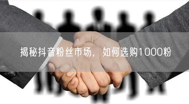 揭秘抖音粉丝市场，如何选购1000粉