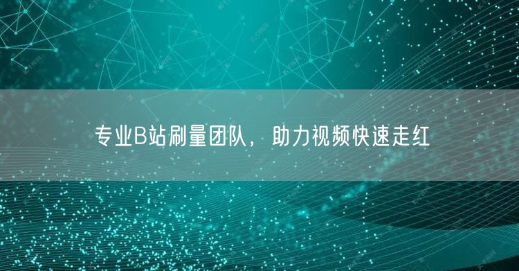 专业B站刷量团队，助力视频快速走红