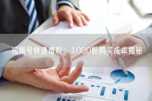 视频号快速增粉：1000粉购买成本揭秘